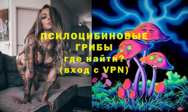 mdpv Верхний Тагил