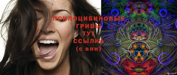 ECSTASY Верея