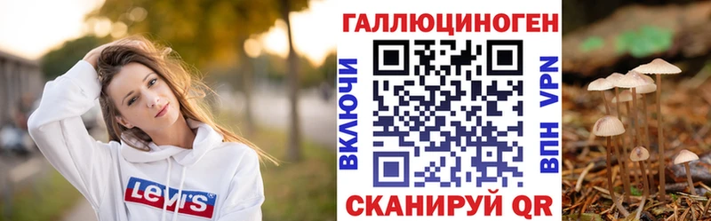 Купить где  Обоянь  Галлюциногенные грибы мицелий 
