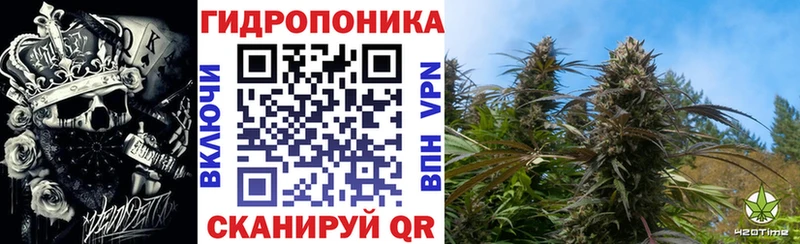 Каннабис OG Kush  Купить  Обоянь 